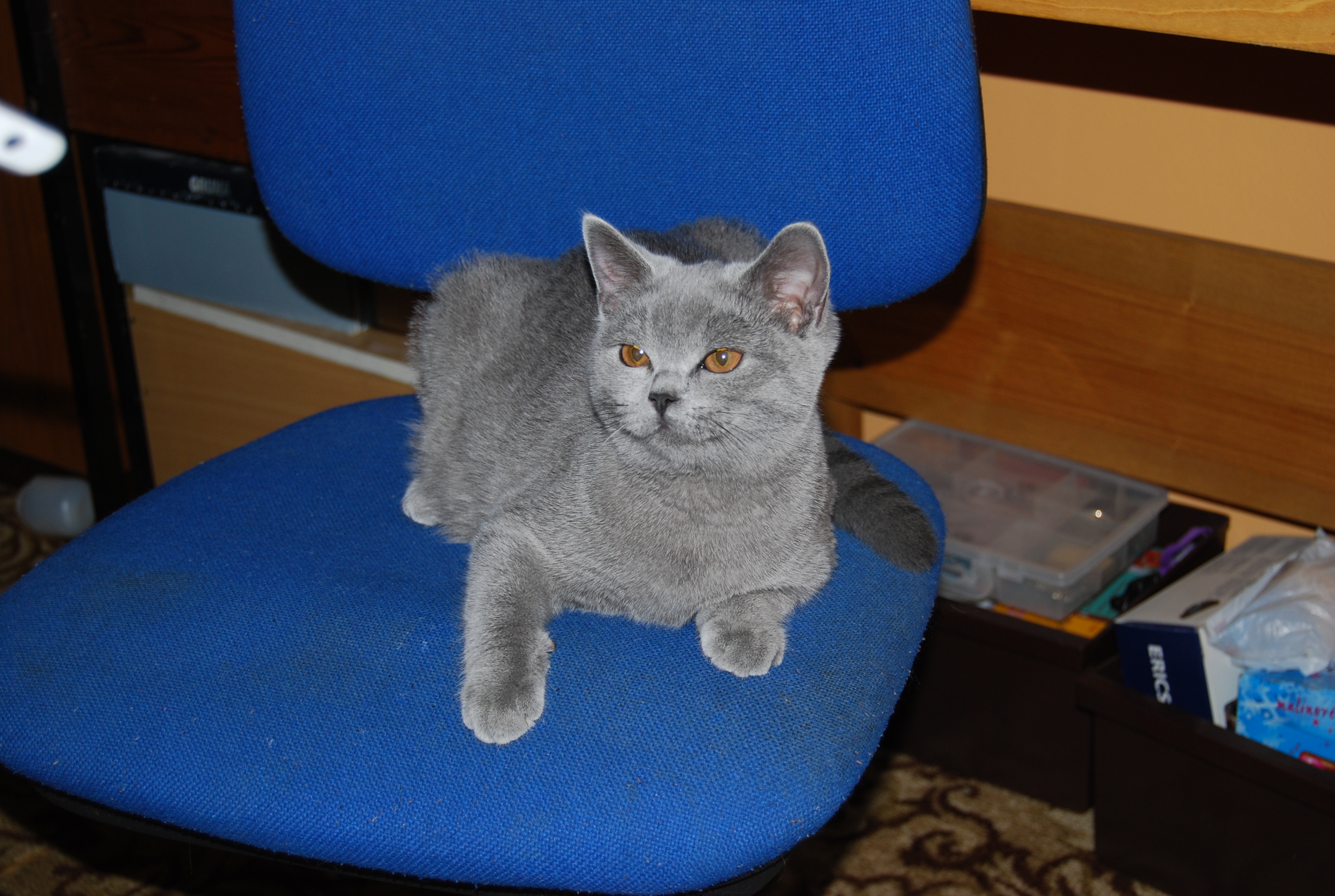 Dsc_0150.jpg