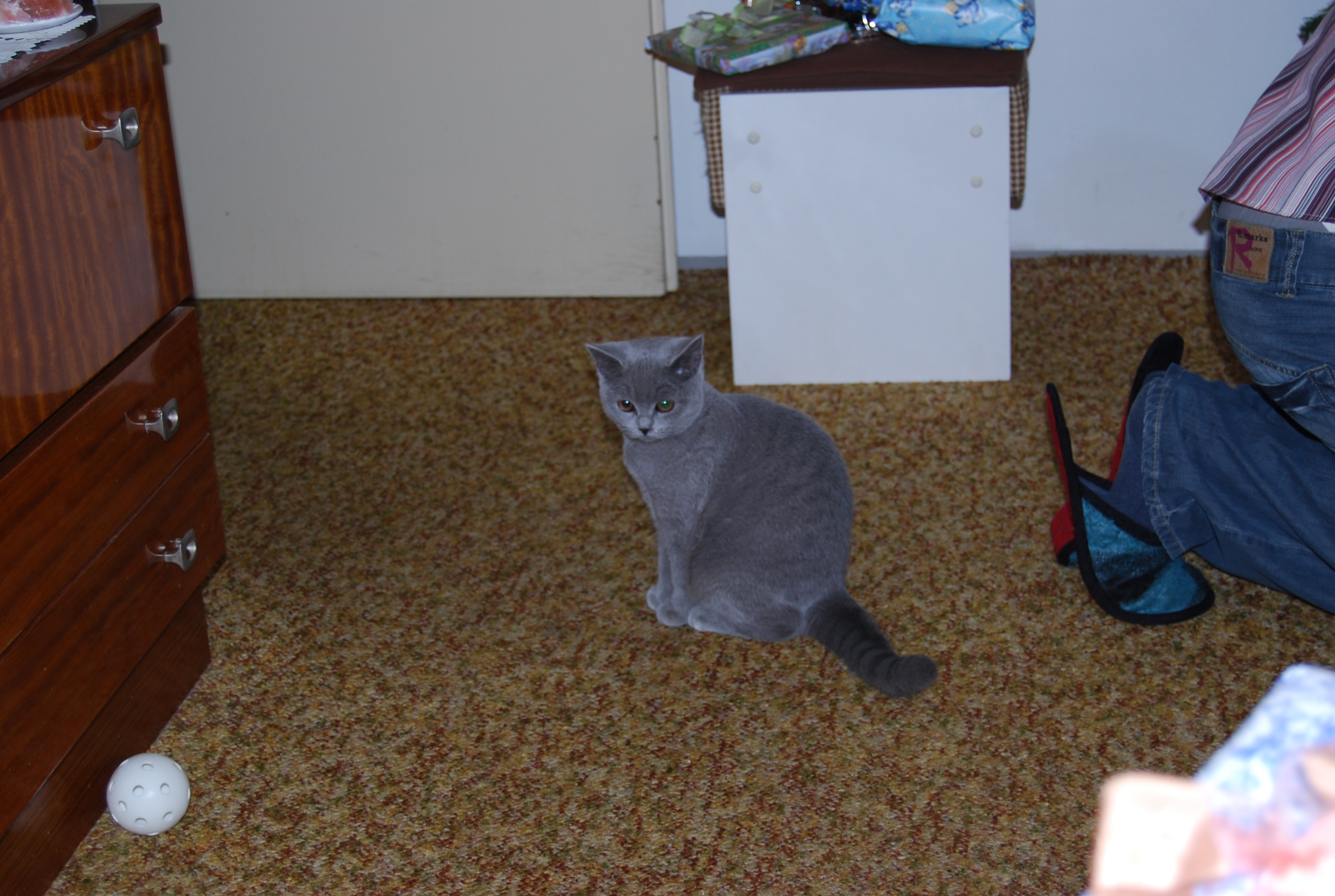Dsc_0192.jpg