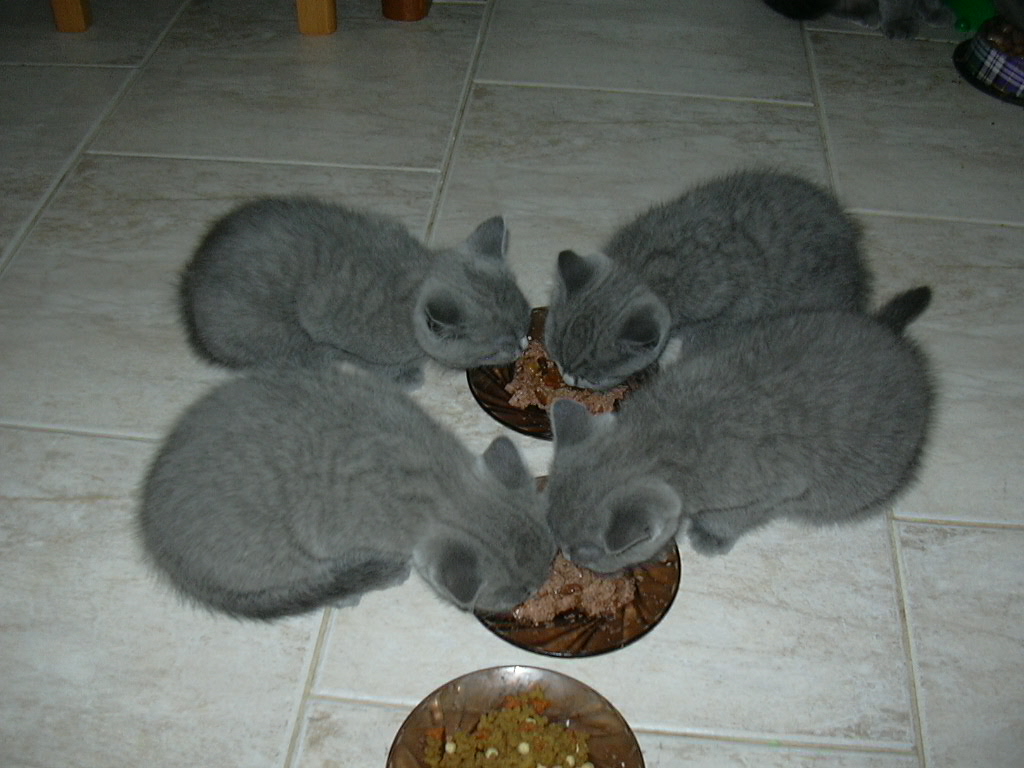 Dscn0386.jpg